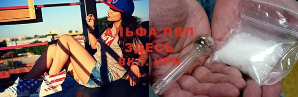 крисы Новокубанск
