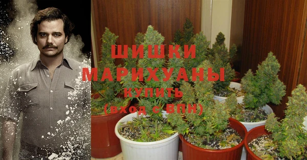 соль курить ск Бикин