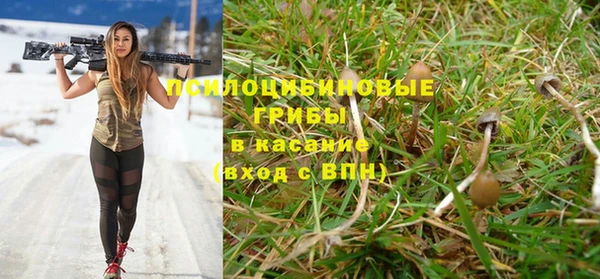 крисы Новокубанск