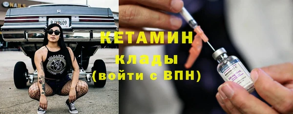 ешки Новодвинск