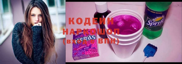 ешки Новодвинск