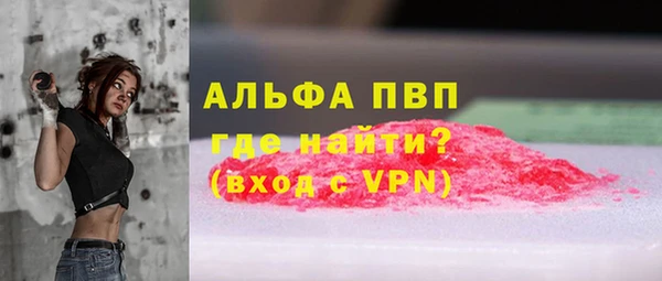 крисы Новокубанск
