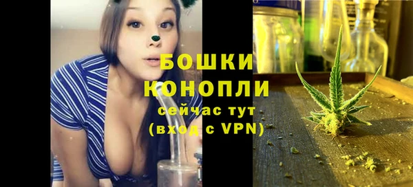 ешки Новодвинск