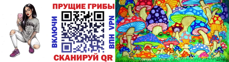Псилоцибиновые грибы ЛСД  hydra зеркало  Новая Ляля  наркошоп 