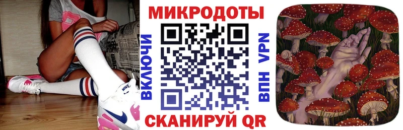 Псилоцибиновые грибы Psilocybine cubensis Новая Ляля